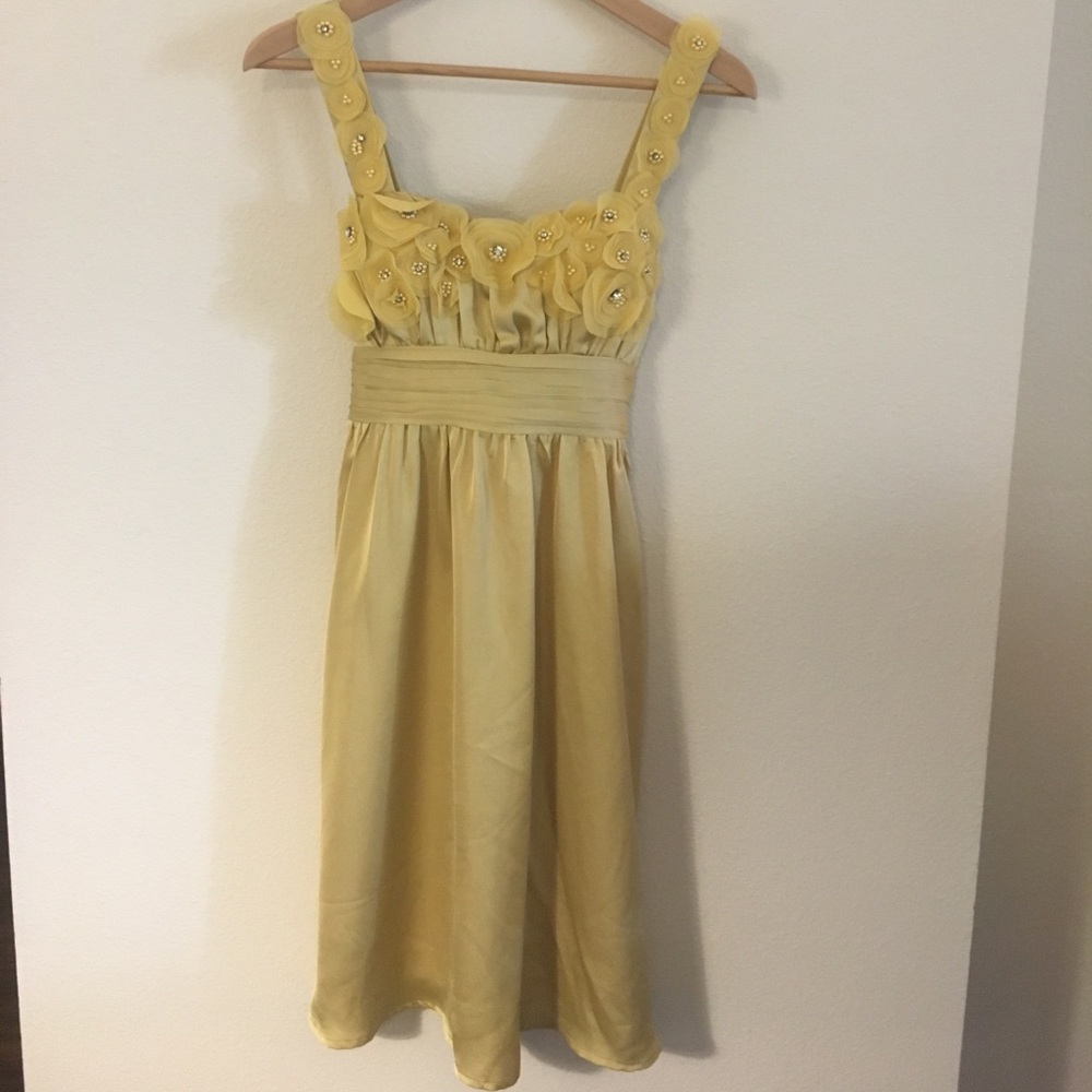 Clothing/ Cocktail dress