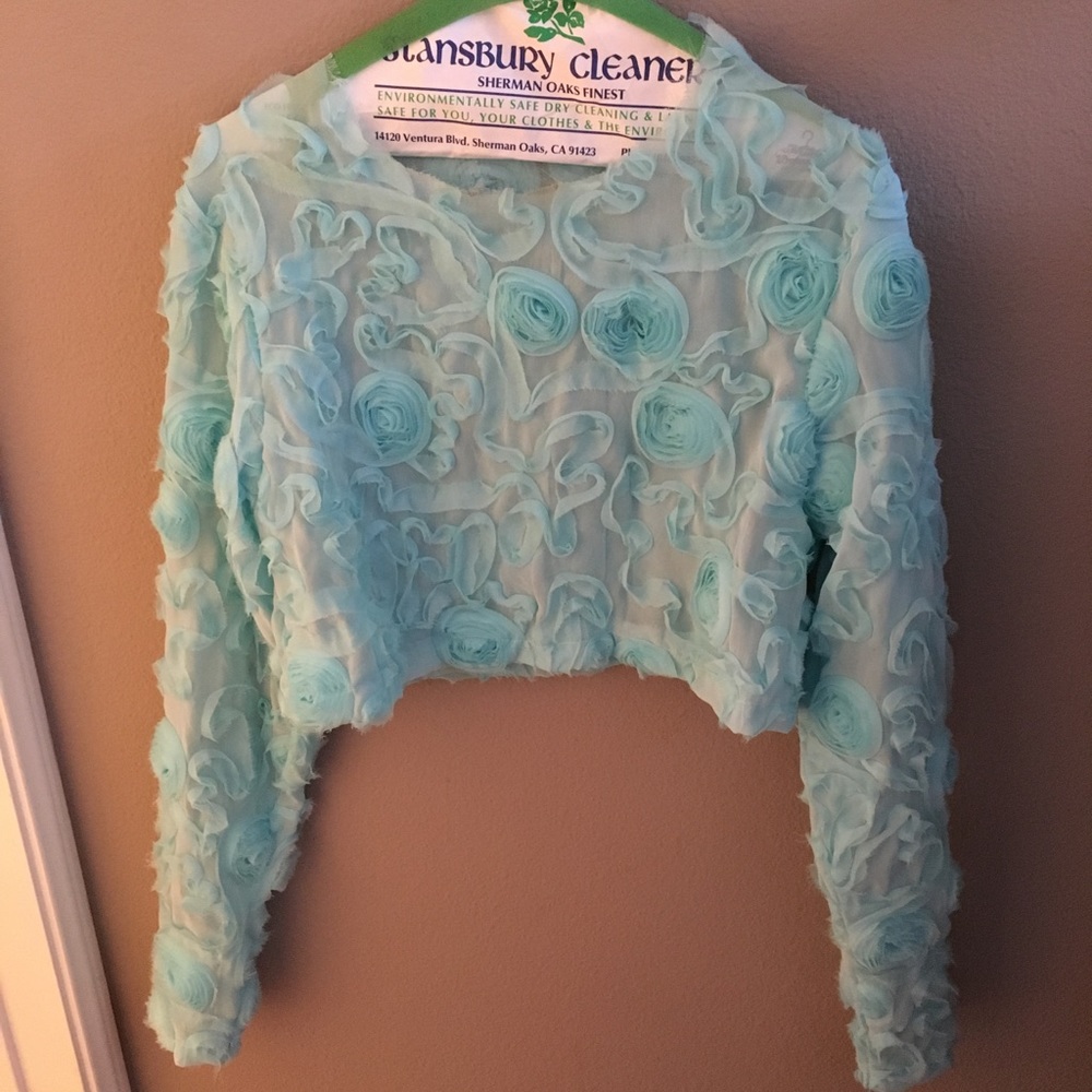Sheer long sleeve crop
