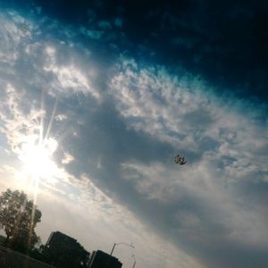 Meet your Posher, Tyree