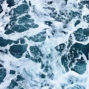 Meet your Posher, Chip