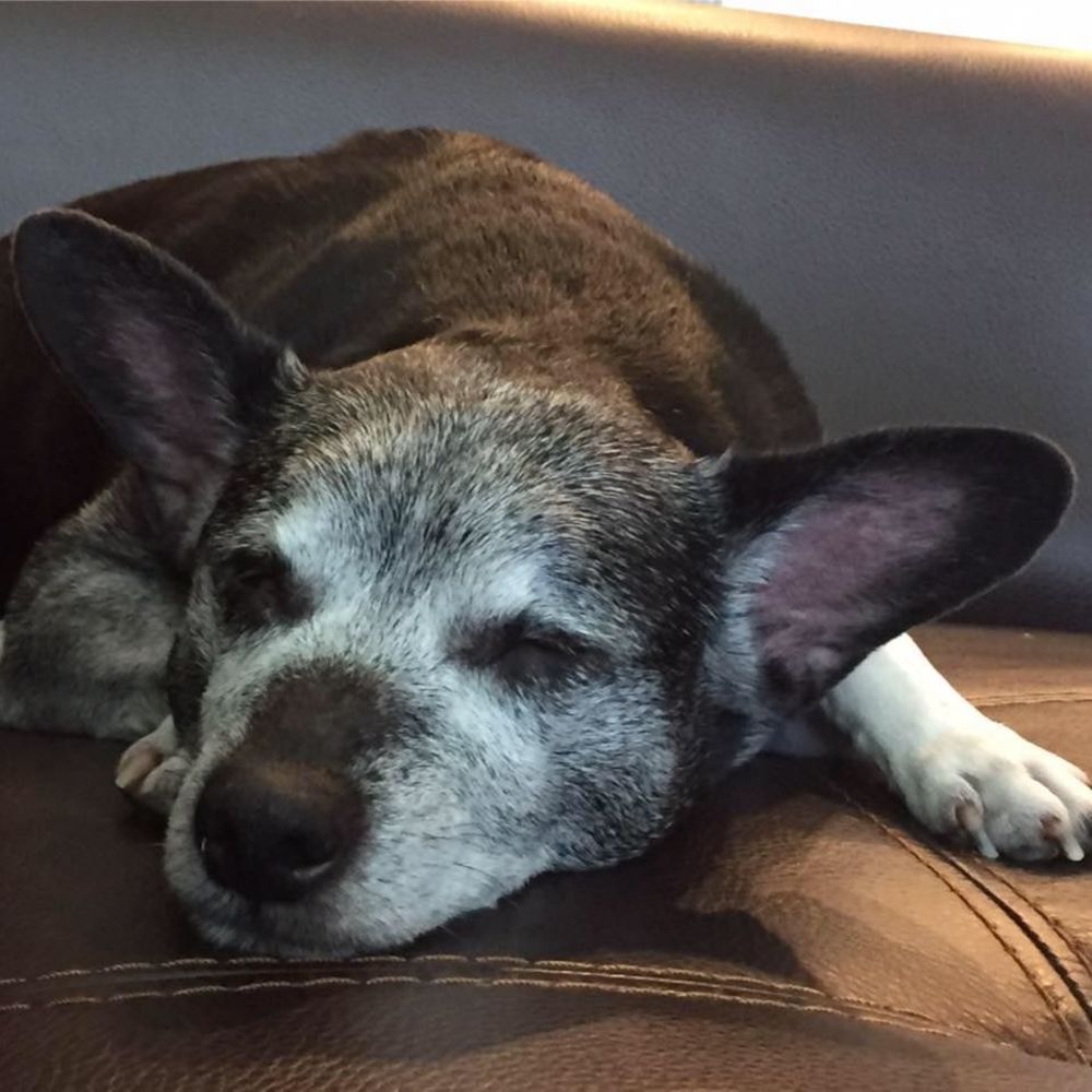 Meet your Posher, Rebecca