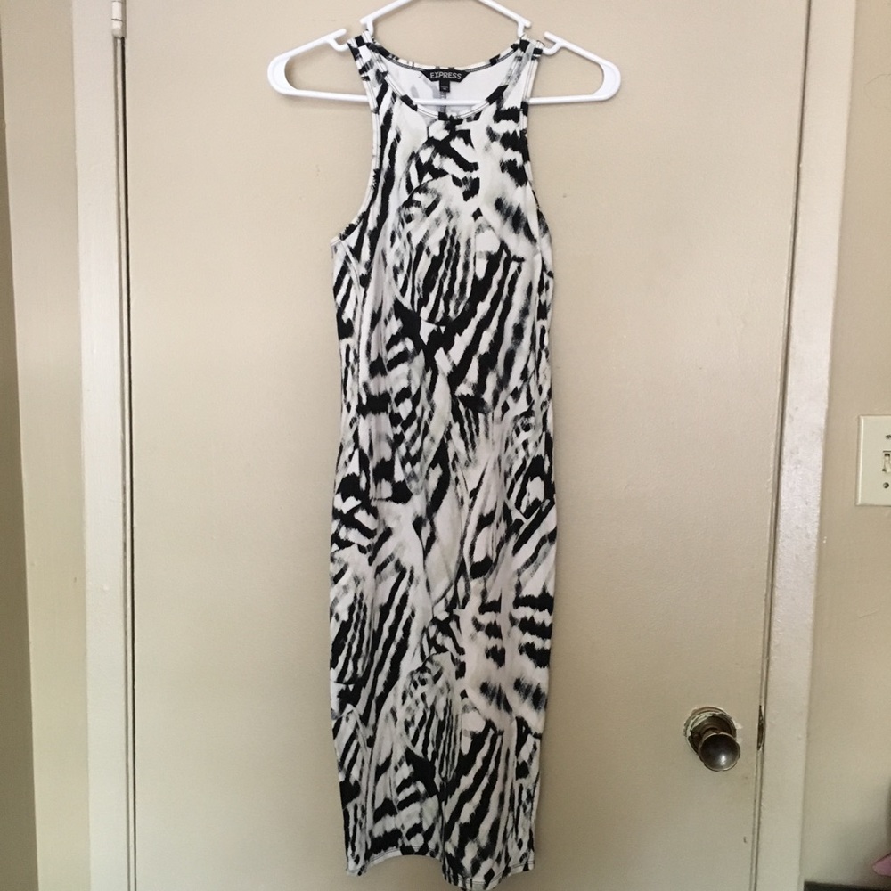 Express zebra dress