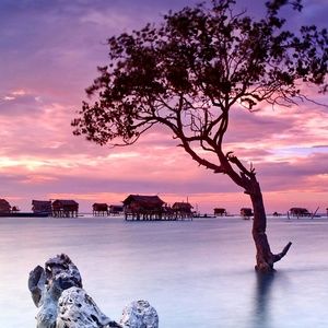 Meet your Posher, Bo