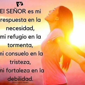 Meet your Posher, Neil