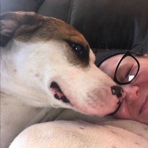 Meet your Posher, Diana