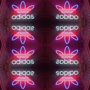 Meet your Posher, Miranda