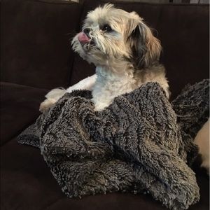 Meet your Posher, Maria anne