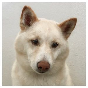 Meet your Posher, Marisol