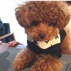 Meet your Posher, Peaches