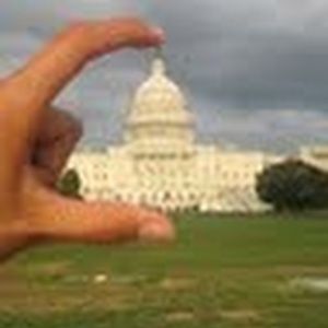 Meet your Posher, Abelina