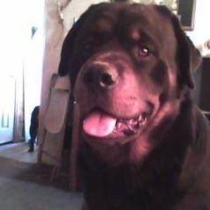 Meet your Posher, Kathryn