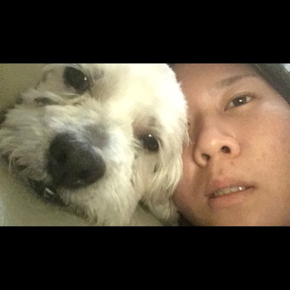 All Strung Out - Picture 3 of 8