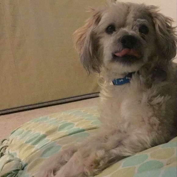 All Strung Out - Picture 6 of 8