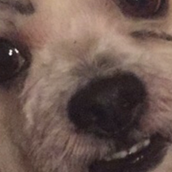 All Strung Out - Picture 7 of 8