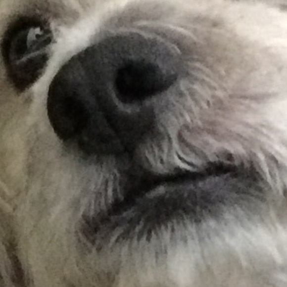 All Strung Out - Picture 8 of 8