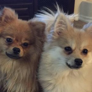 Meet your Posher, Cindy