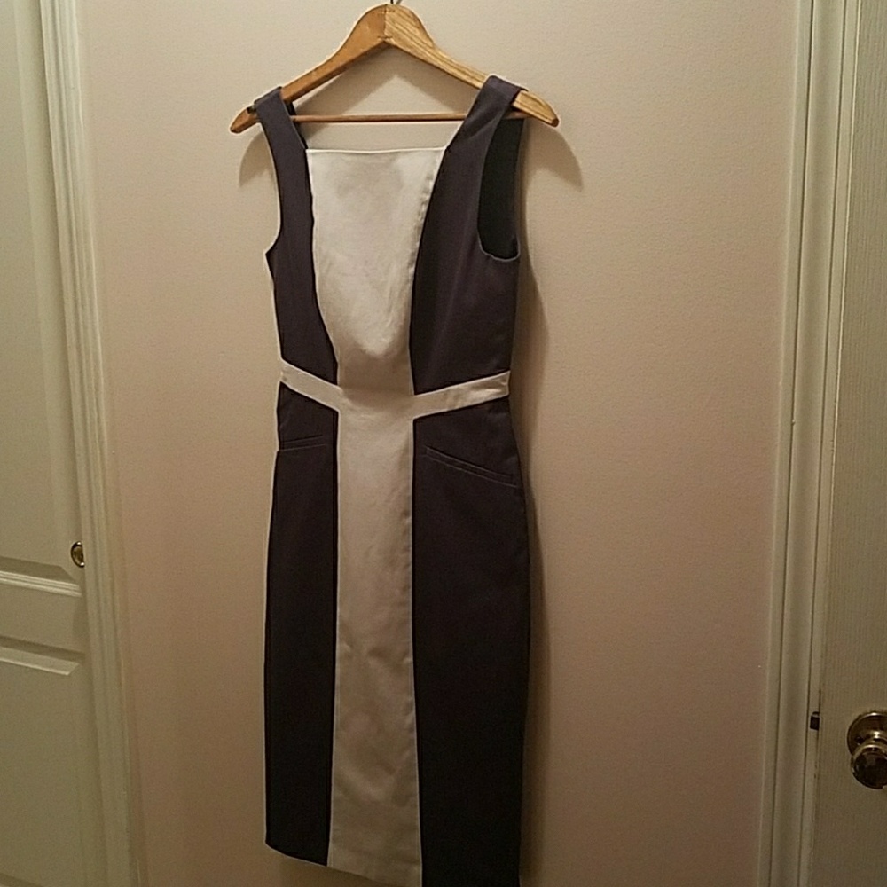 Club Monaco Dress