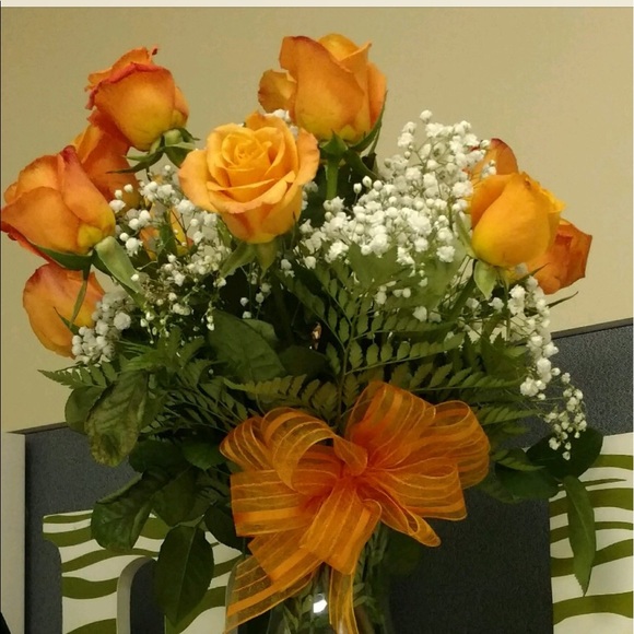 Meet your Posher, Tammy - Picture 1 of 1