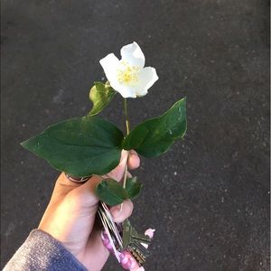 Meet your Posher, Chloe