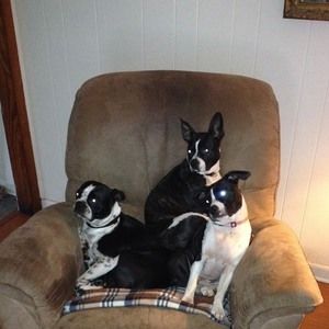 Meet your Posher, Deborah