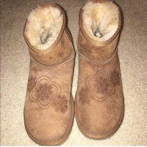 UGG Mini boots - chestnut