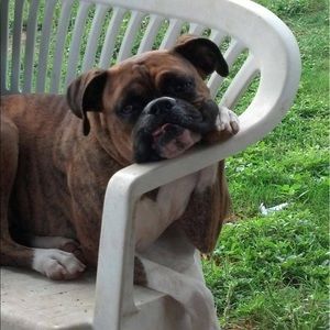 Meet your Posher, Audrey