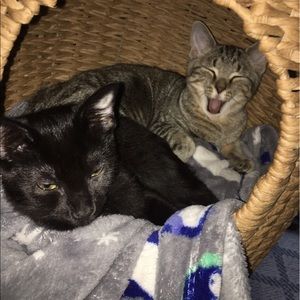 Meet your Posher, April