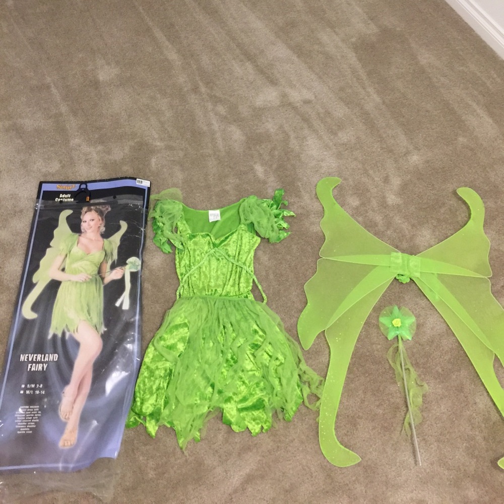 Neverland Fairy Costume