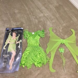 Neverland Fairy Costume