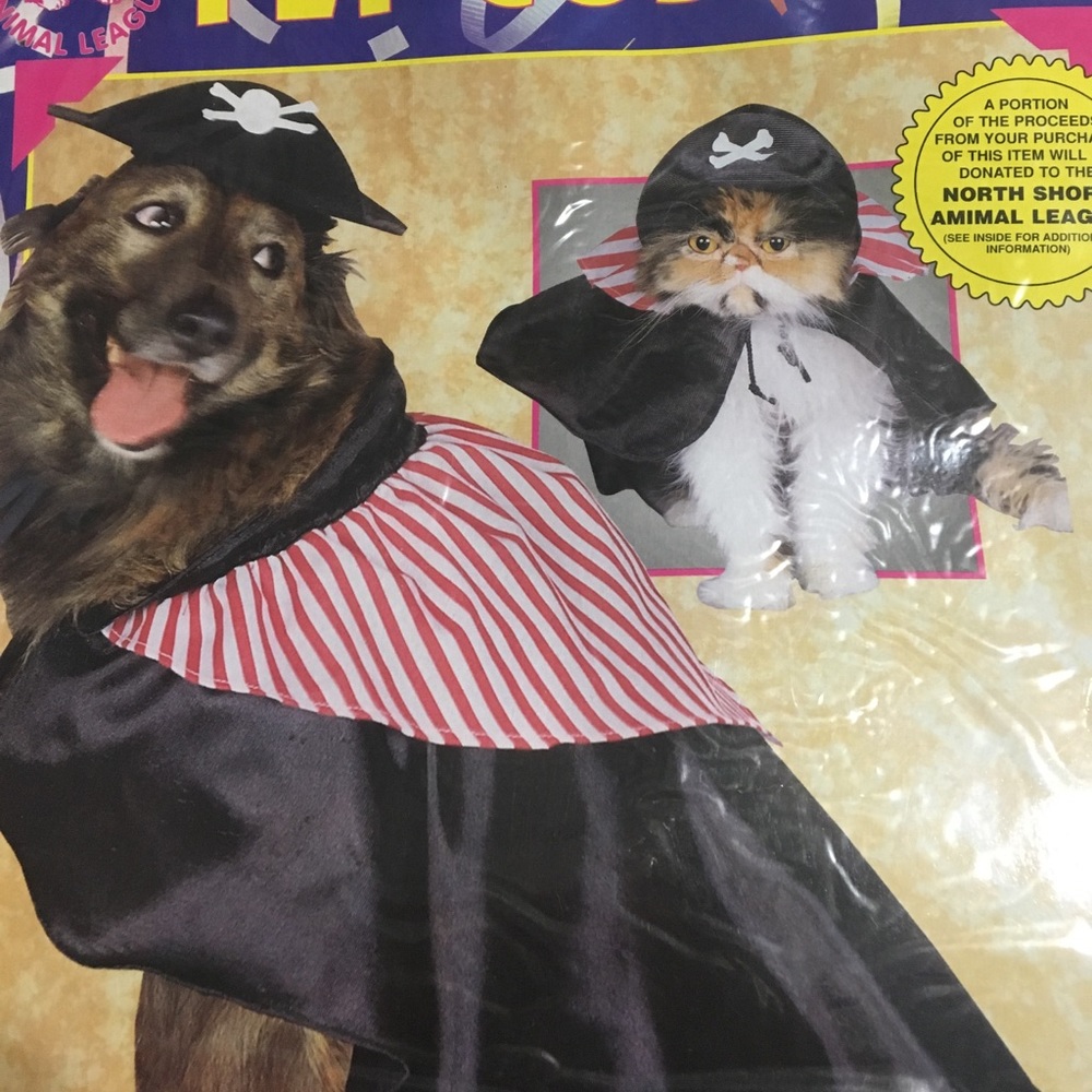 Small pet costume