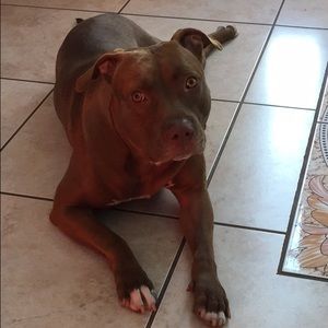 Meet your Posher, Karina