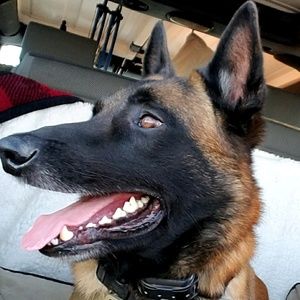 Meet your Posher, Ben