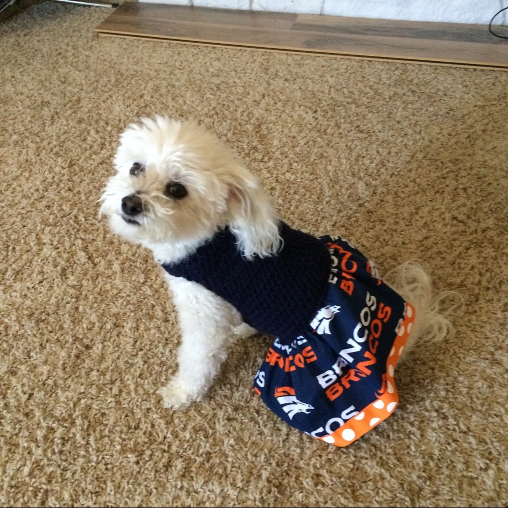 Meet your Posher, Donna