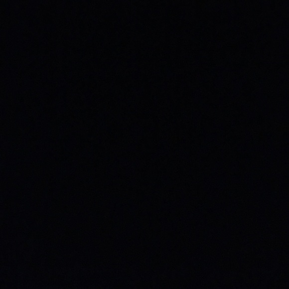 Meet your Posher, Ruby - Picture 1 of 1