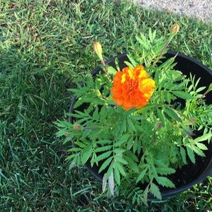 Meet your Posher, Keerthi