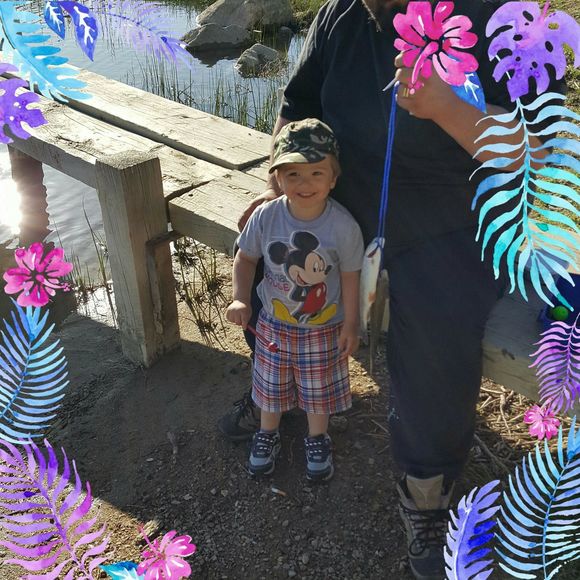 Meet your Posher, Misty - Picture 1 of 1