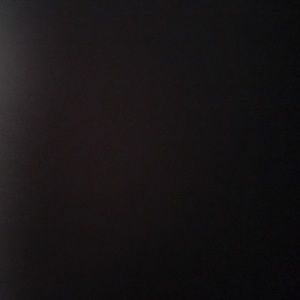 Meet your Posher, Dominick