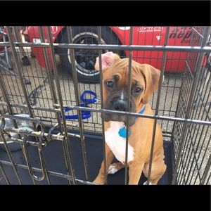 Meet your Posher, Cathy