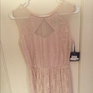 Light Pink / Cream Lace and Mesh Dress