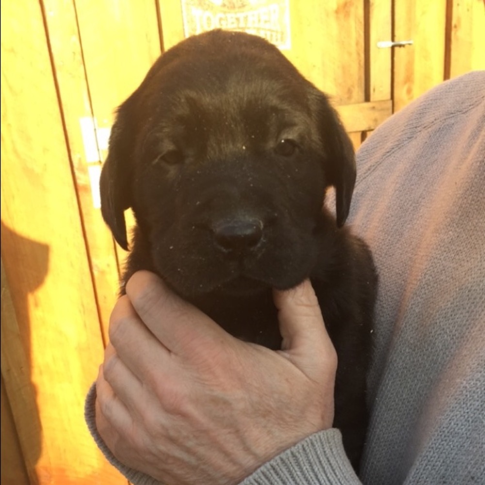 Meet your Posher, Ann