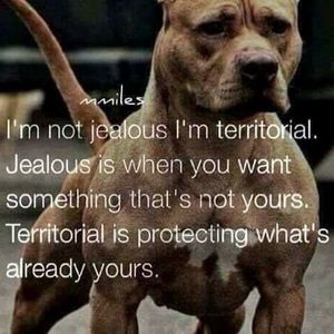 Meet your Posher, Nathan