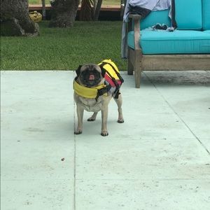 Meet your Posher, Shelli