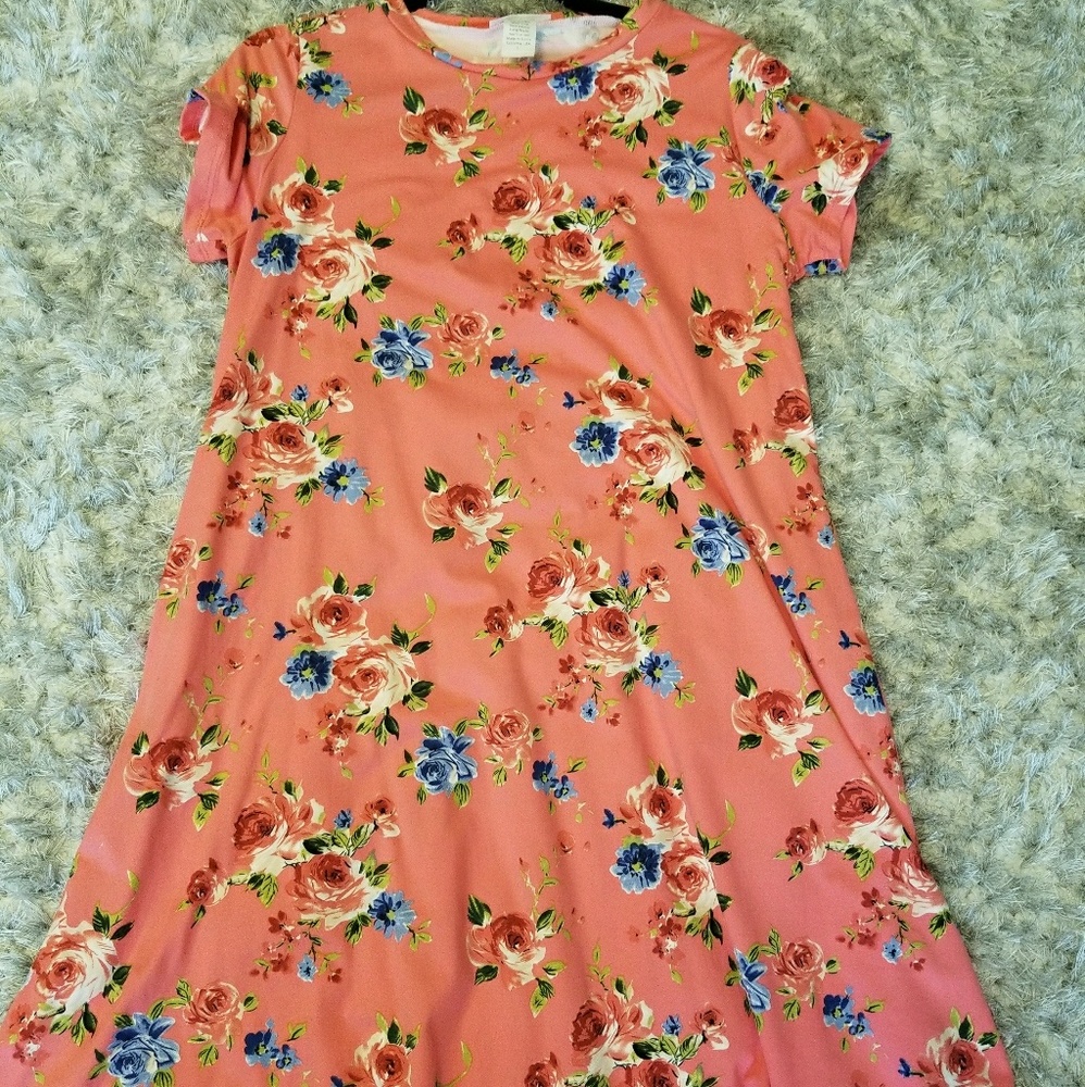 Honey and Lace Napa dress - L