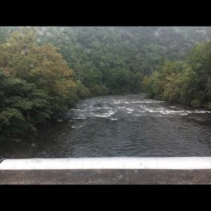 Meet your Posher, Nelson