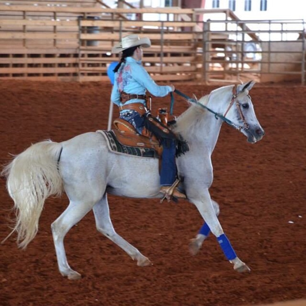 Meet your Posher, Natasha