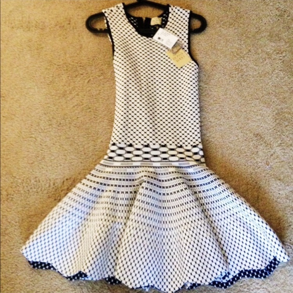 Torn by Ronny Kobo Dress Size L