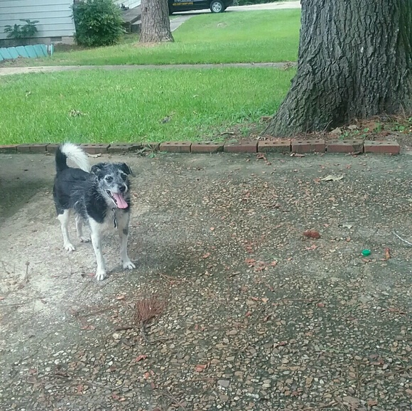 Meet your Posher, Faye - Picture 1 of 1