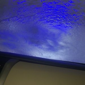 Meet your Posher, Leila