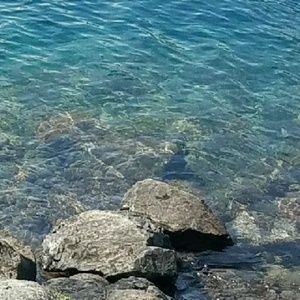 Meet your Posher, Jenny