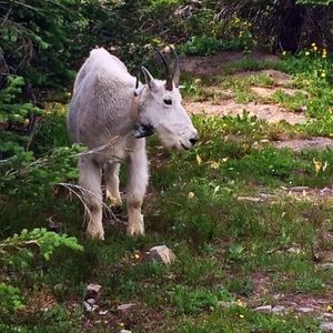 Meet your Posher, Karina